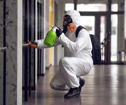 Best Comprehensive Air Testing for Mold Contaminants  in Pacific, WA