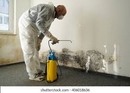 Trusted Pacific, WA Mold Removal Services Experts